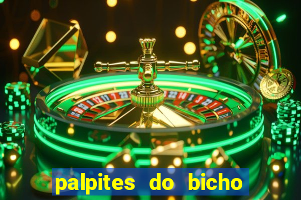 palpites do bicho no celular