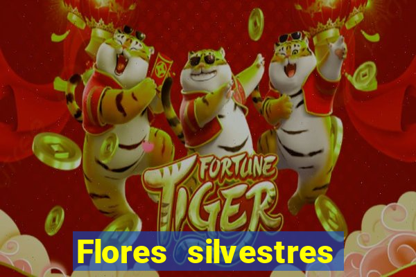 Flores silvestres brasileiras brasileiras flores silvestres nomes e imagens